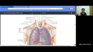 Thorax Atlas Lecture 1 Amazing concepts Be a surgeon [upl. by Elmaleh]