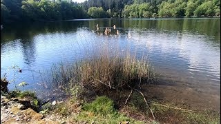 Bergsee Bad Säckingen April 2020 [upl. by Enelav]