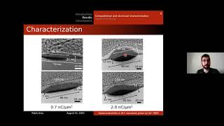 Focused Ion Beam Induced Processing I [upl. by Heady324]