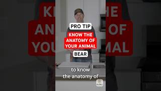 Butcher Block  Pro Tip  Know The Anatomy of Your Animal shorts hunting elk deer bear [upl. by Antone]