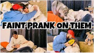 FAINT PRANK ON FAMILY 🥲  KAJAL CHOUDHARY  30 DAYS 30 VLOGS CHALLENGE [upl. by Skip]