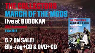 『THE COLLECTORS live at BUDOKAN』トレーラー [upl. by Bac]