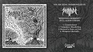 Degraved  quotWhispered Morbidityquot Full Album Stream  Gurgling Gore 2023 [upl. by Ashlin]