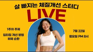 체질개선 챌린지 1주차  몸이 날씬해보이는 체형교정 amp 다이어트 강박 해체 솔루션 [upl. by Ydnem]