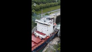 Capturing Algoma Intrepids Transition Through the Lock System [upl. by Nahsaj811]