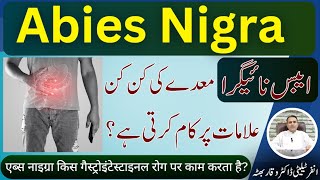 Abies Nigra एबिस निग्रा اینس نائیگرا Homeopathic Medicine Uses by Dr Waqar Bhutta in Urdu  Hindi [upl. by Telford]