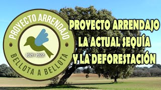 PROYECTO ARRENDAJO LA ACTUAL SEQUÍA Y LA DEFORESTACIÓN [upl. by Mathre]