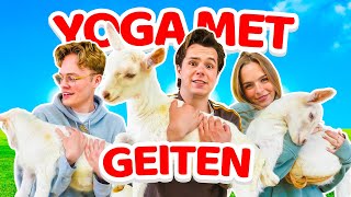 Wij Deden Yoga Met Geiten [upl. by Thomas]