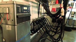 DeLaval Milking Machine Cleaning Unit while flushing [upl. by Iggep]