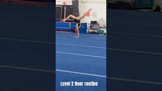 My level 2 floor routine [upl. by Martynne]