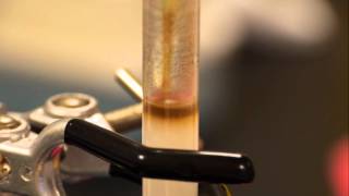 Anion Exchange Chromatography  separating haemoglobin and catalase [upl. by Sue]