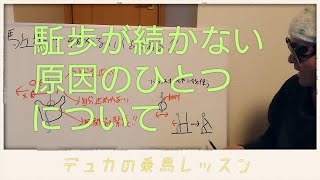 【乗馬】駈歩が続かない分析した【馬ブログ】 [upl. by Zeuqirdor]