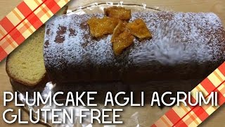 Plumcake agli agrumi GLUTEN FREE  SENZA GLUTINE 🍊🍋 CriCucina [upl. by Jens575]