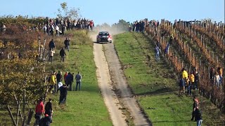 ERC Rally Hungary 2020 Nyíregyháza HIGHLIGHTS [upl. by Cirdor]