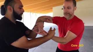 Wing Chun Snake And Crane Chi Sao flow [upl. by Akkahs]