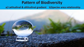 Pattern of Biodiversity [upl. by Grayson]