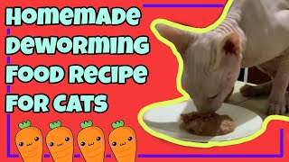 Homemade Deworming Food Recipe For Cats  Paano mag deworm ng pusa  Natural Cat Deworm [upl. by Nyrahs]