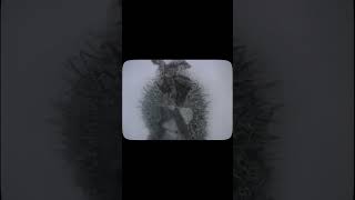 Hedgehog in the Fog 1972 soviet animation animated [upl. by Betty294]