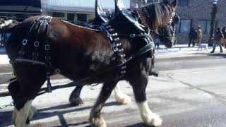 Waseca Minnesota Feb 10th parade 2018 [upl. by Ijar733]