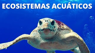 ¿Qué son los ECOSISTEMAS ACUÁTICOS Características tipos y ejemplos🌊 [upl. by Divan818]