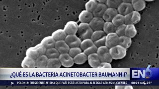 ACINETOBACTER [upl. by Towland]