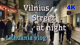 Travel to Lithuania  Vilnius 4K  Vilnius street at night  2024 [upl. by Iad483]