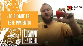 ¿De dónde es este pimiento [upl. by Gusba]