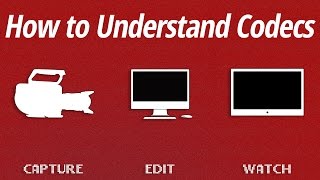 How to Understand Codecs [upl. by Novit]