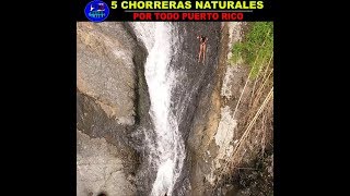 las 5 CHORRERAS NATURALES en PUERTO RICO [upl. by Einobe144]