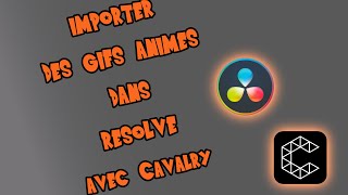 importer FACILEMENT des gifs animés sous DaVinci Resolve [upl. by Annat455]