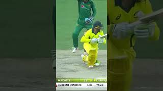 Australia All Fall of Wickets Against Pakistan Bowlers PAKvAUS SportsCentral Shorts PCB M7C2K [upl. by Ahseka]