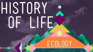 The History of Life on Earth  Crash Course Ecology 1 [upl. by Aieki]