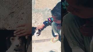 Kutta ka bacha viralvideo funny [upl. by Eidnahs297]