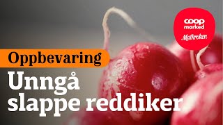 Oppbevaring Beste tips for oppbevaring av reddiker [upl. by Tiny197]