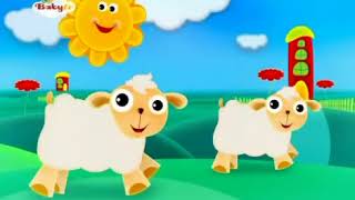 004 Kinderliedjes BabyTV Schaapje Schaapje heb je witte wol [upl. by Inot]