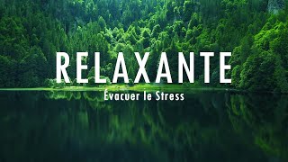 Musique relaxante pour lisolement et la tranquillité desprit arrêtez lanxiété• Évacuer le Stress [upl. by Ynnahc]