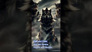 Norse Mythology Stories The Dark Truth About Odin odin mythology norse ancient history [upl. by Nosnah236]