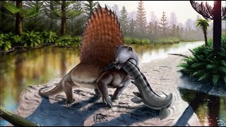 Dimetrodon  Ancient Animal [upl. by Kay561]