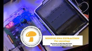 Mini PCR extraction overview with Fresh from the Farm Fungi Mycology genetic machine [upl. by Gilford]