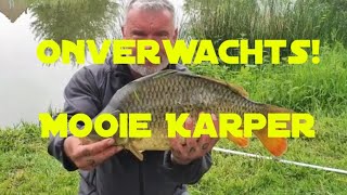 Onverwacht Karper op de method feeder [upl. by Terryl]