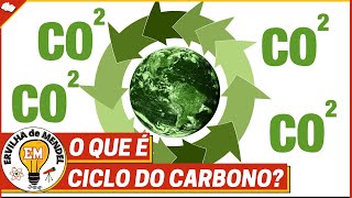 CICLO DO CARBONO  O que é o ciclo do carbono [upl. by Beret]