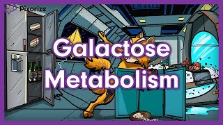 Galactose Metabolism Mnemonic  USMLE Preview [upl. by Freyah]