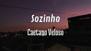 Sozinho  Caetano Veloso cover [upl. by Ydualc]