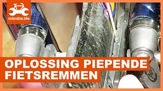 Piepende fietsremmen oplossen [upl. by Neu]