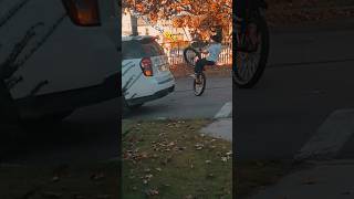 Wheelies for days mafiabikes wheelie viralvideo viralshorts fyp [upl. by Malcolm]