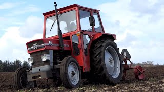 Massey Ferguson 135 on duty ploughing w 2Furrow Fraugde plough  DK Agriculture [upl. by Lourdes]