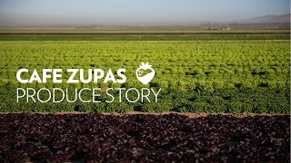 Cafe Zupas Our Produce Story [upl. by Navarro]