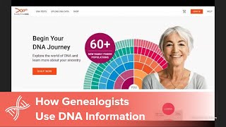 How Genealogists Use DNA [upl. by Henderson]