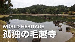 【毛越寺】孤独の平泉 WORLD HERITAGE [upl. by Arimak]