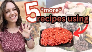 5 MORE Ground Beef recipes SO GOOD [upl. by Treva]